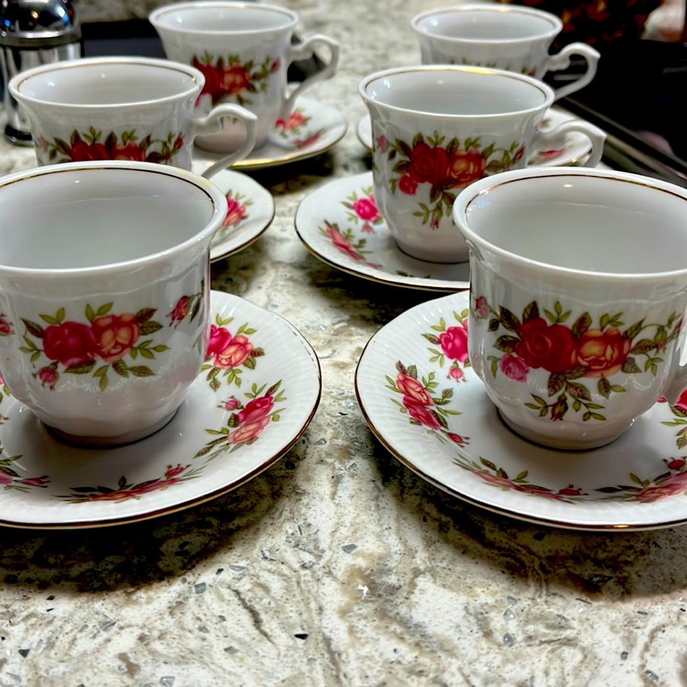 WALBRZYCH China ROSE GARDEN 12pc Demitasse Cup & Saucer Set from Poland.